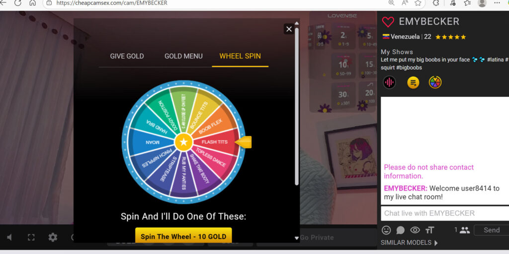interactive features example
